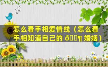 怎么看手相爱情线（怎么看手相知道自己的 🐶 婚姻）